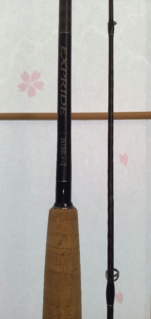 【専用】22 エクスプライド 261SUL+-2