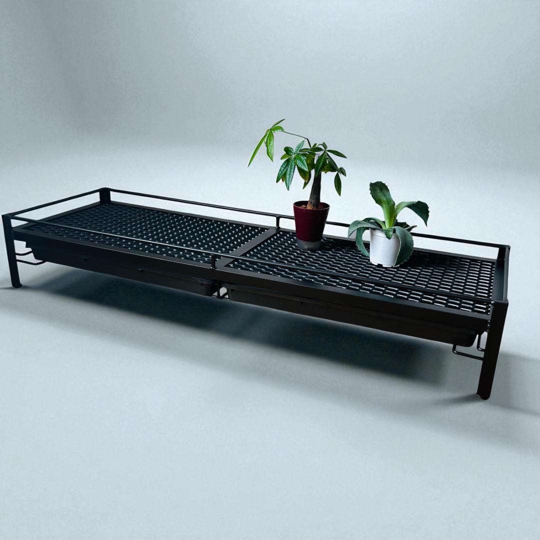 新春セール　植物棚　シェルフ　アガペラック 124cm x 41cm