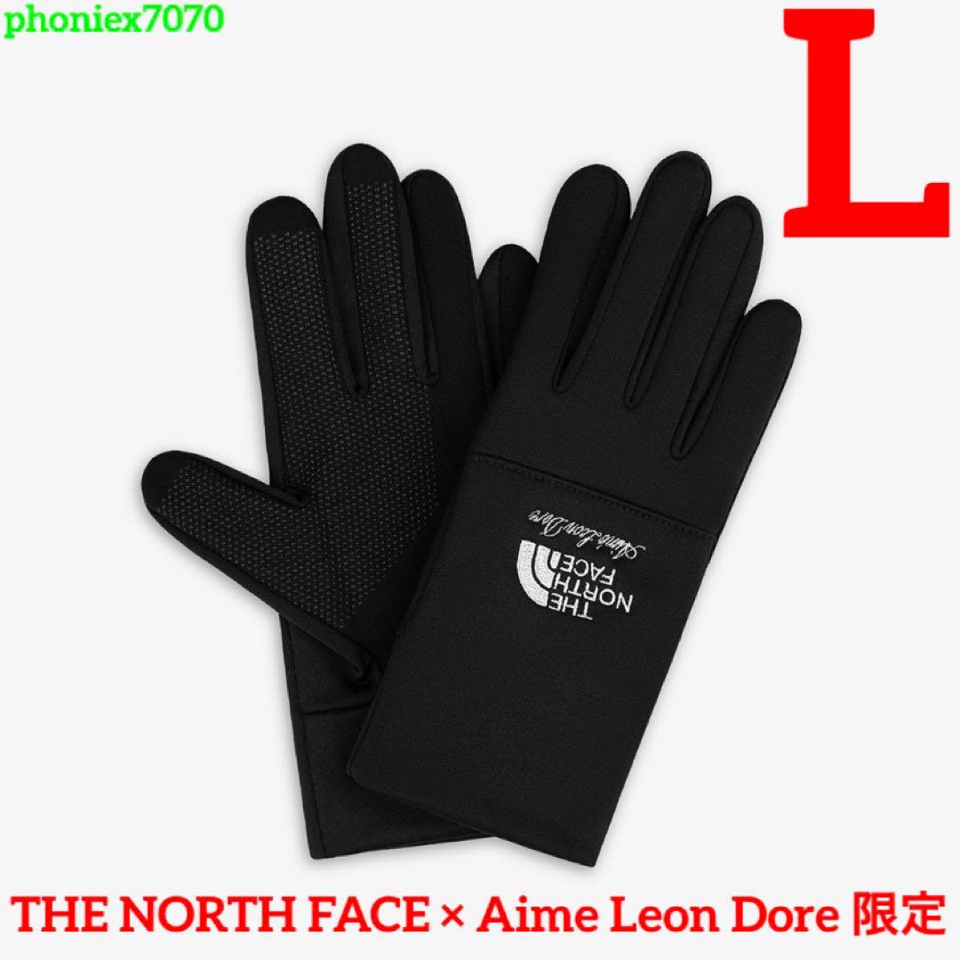 【TNF × Aime Leon Dore】Etip Glove【L】イーチップ