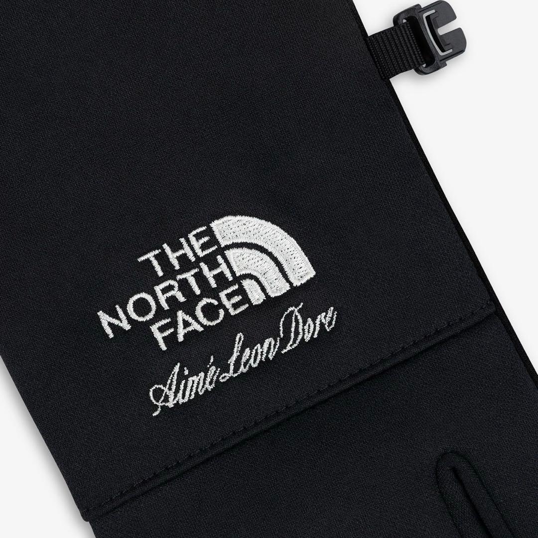 【TNF × Aime Leon Dore】Etip Glove【L】イーチップ