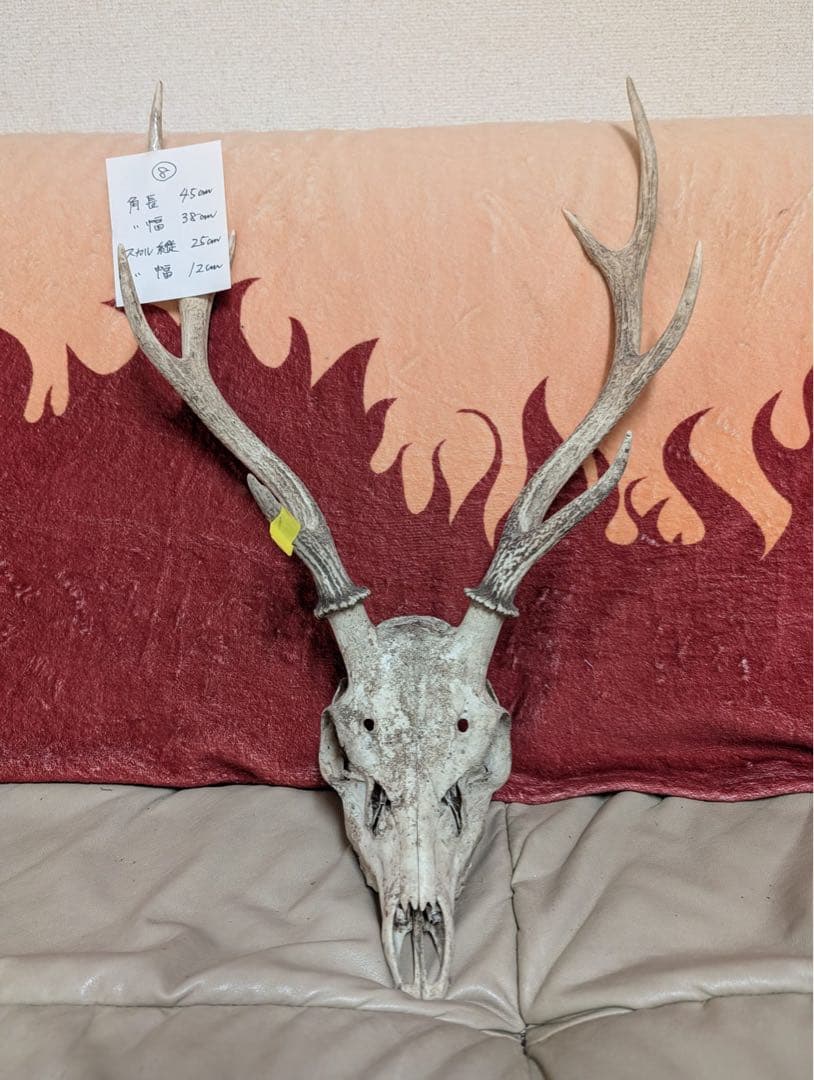 【19個限定】下栗の里　日本鹿　スカNo.8