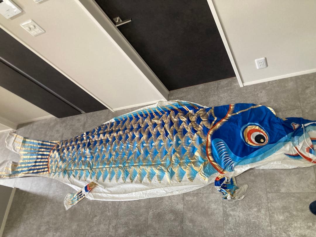 江戸6m5色・瑞祥吹流しセット こいのぼり 鯉のぼり