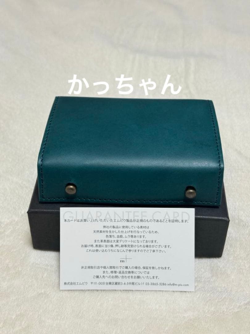 新品　m+ エムピウ　ミッレフォッリエⅡ P25 限定色　オルテンシア