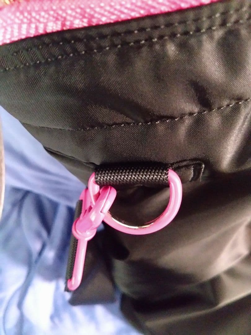 丹青会　限定　ポーター　porter HELMET BAG ヘルメット　バッグ