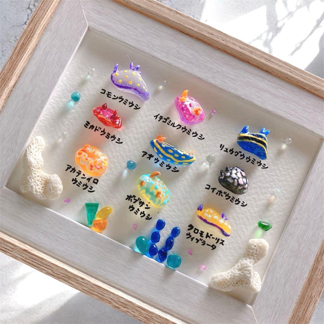 ウミウシ図鑑♡9種❣️3800円　ガラスアート　シーグラスアート　海ギフト