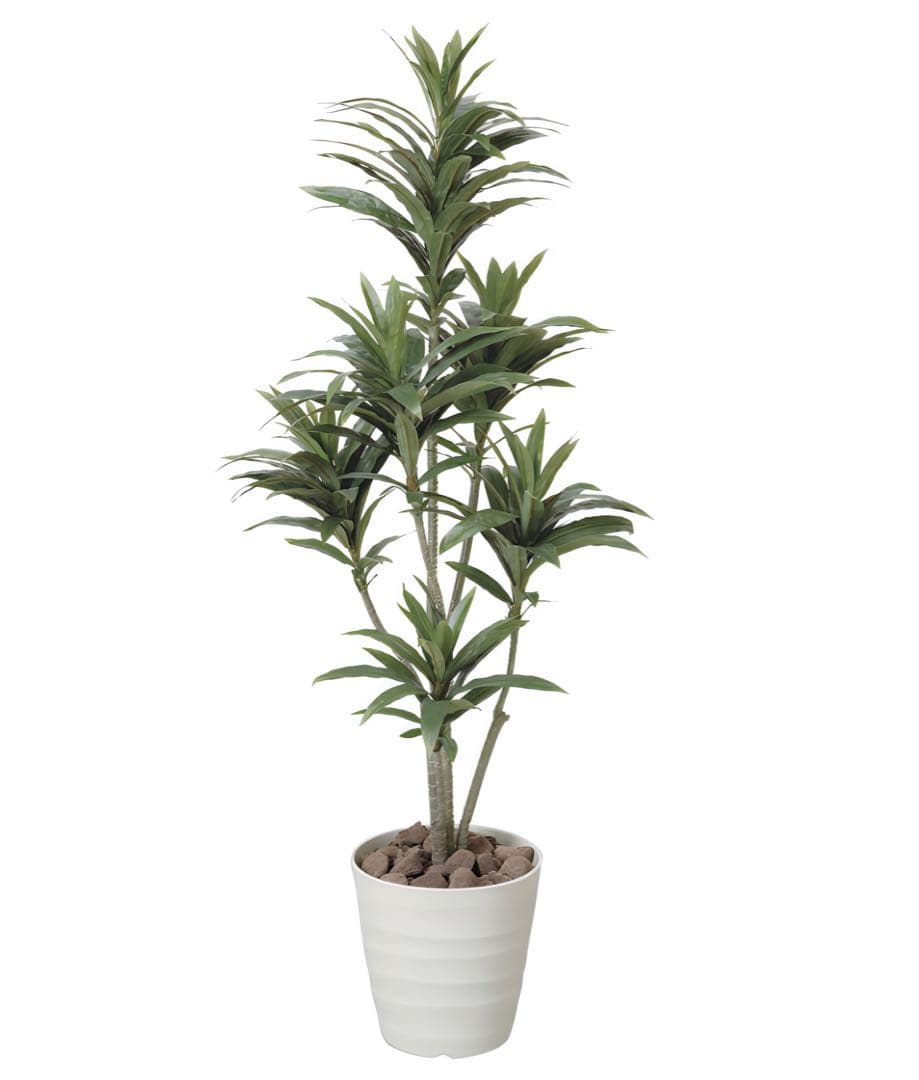 光触媒　人工観葉植物　フェイクグリーン　ドラセナコンパクタ1.25