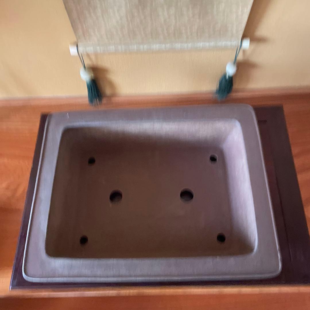 【落款あり】盆栽鉢 常滑 山秋造 松泉焼 紫泥 長方外縁泥物 43cm