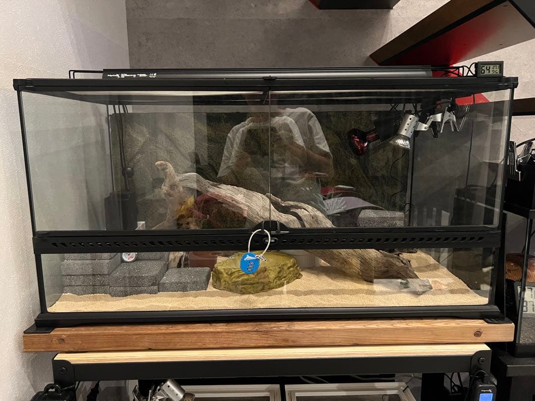 爬虫類ケージ　ＧＥＸ　エキゾテラ　グラステラリウム　９０４５　引渡し優先　愛知県