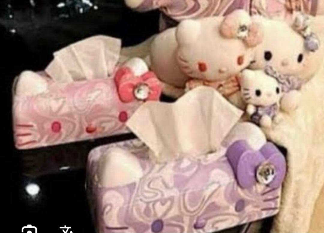 Rady ハローキティ ティッシュケース