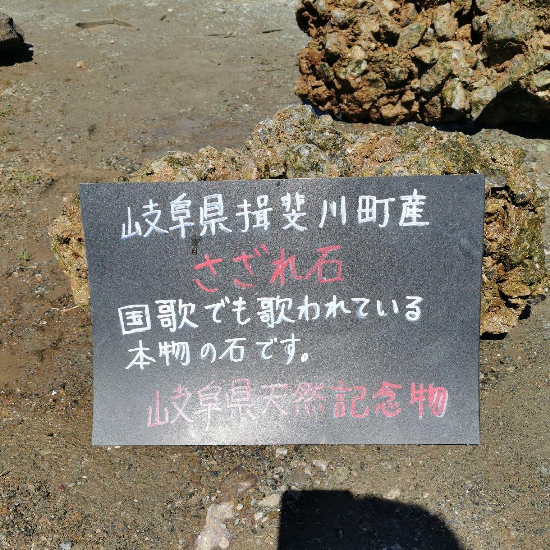 岐阜県　揖斐川産　さざれ石　64キロ　庭石　鑑賞石　石　庭　坪庭　ガーデニング