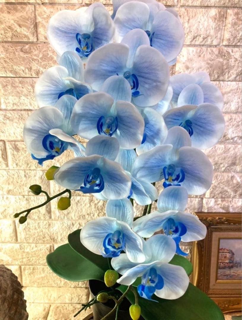 光触媒　人工観葉植物　ウォールグリーン　フェイクグリーン　リアル胡蝶蘭7030