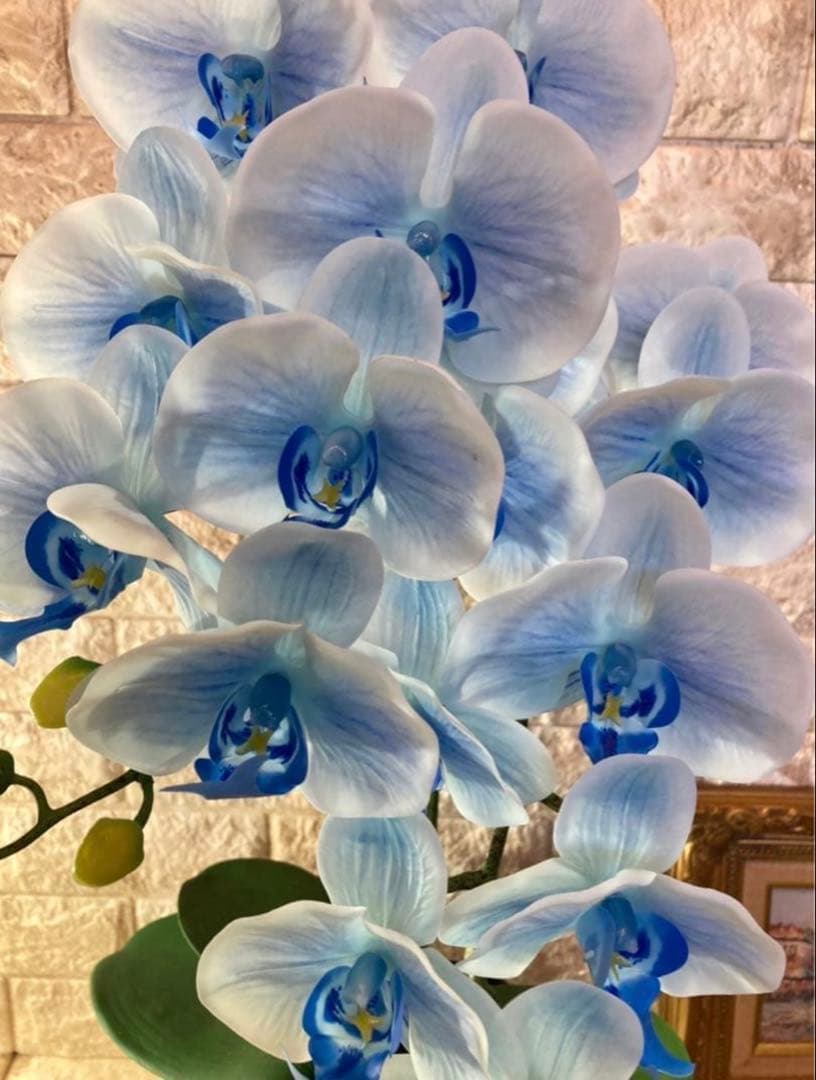 光触媒　人工観葉植物　ウォールグリーン　フェイクグリーン　リアル胡蝶蘭7030