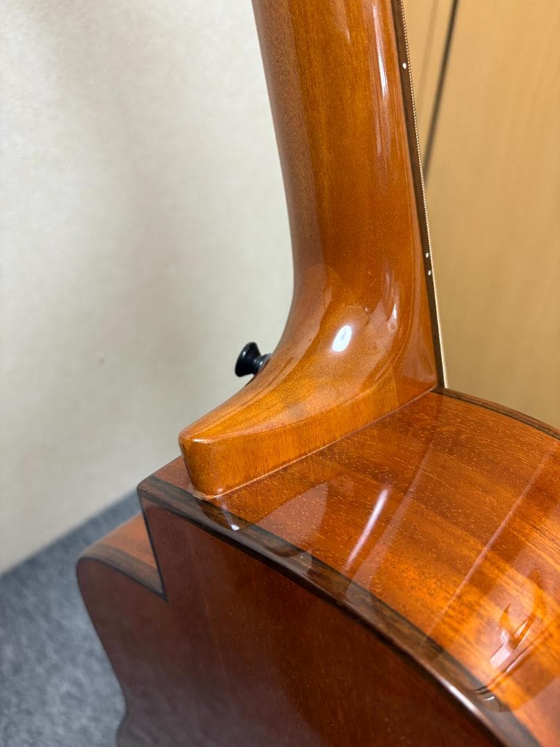 アヌエヌエ(aNueNue) aNN-MBS14E ミニ・アコースティックベース