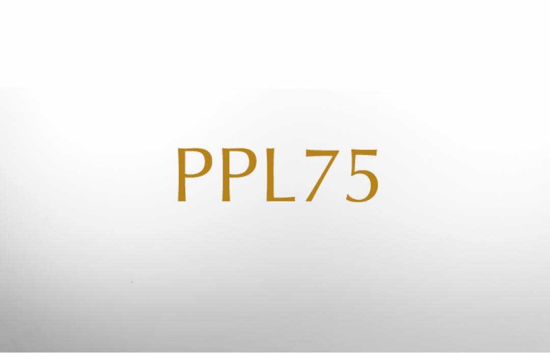 ダイワ　TLX027 ライトスポーツブルーミラー　サングラス