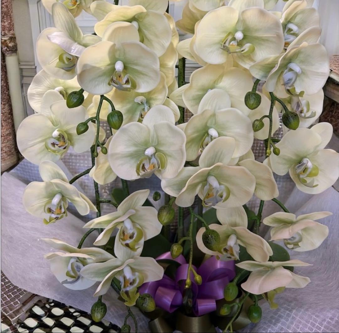 光触媒　人工観葉植物　ウォールグリーン　フェイクグリーン　リアル胡蝶蘭8755