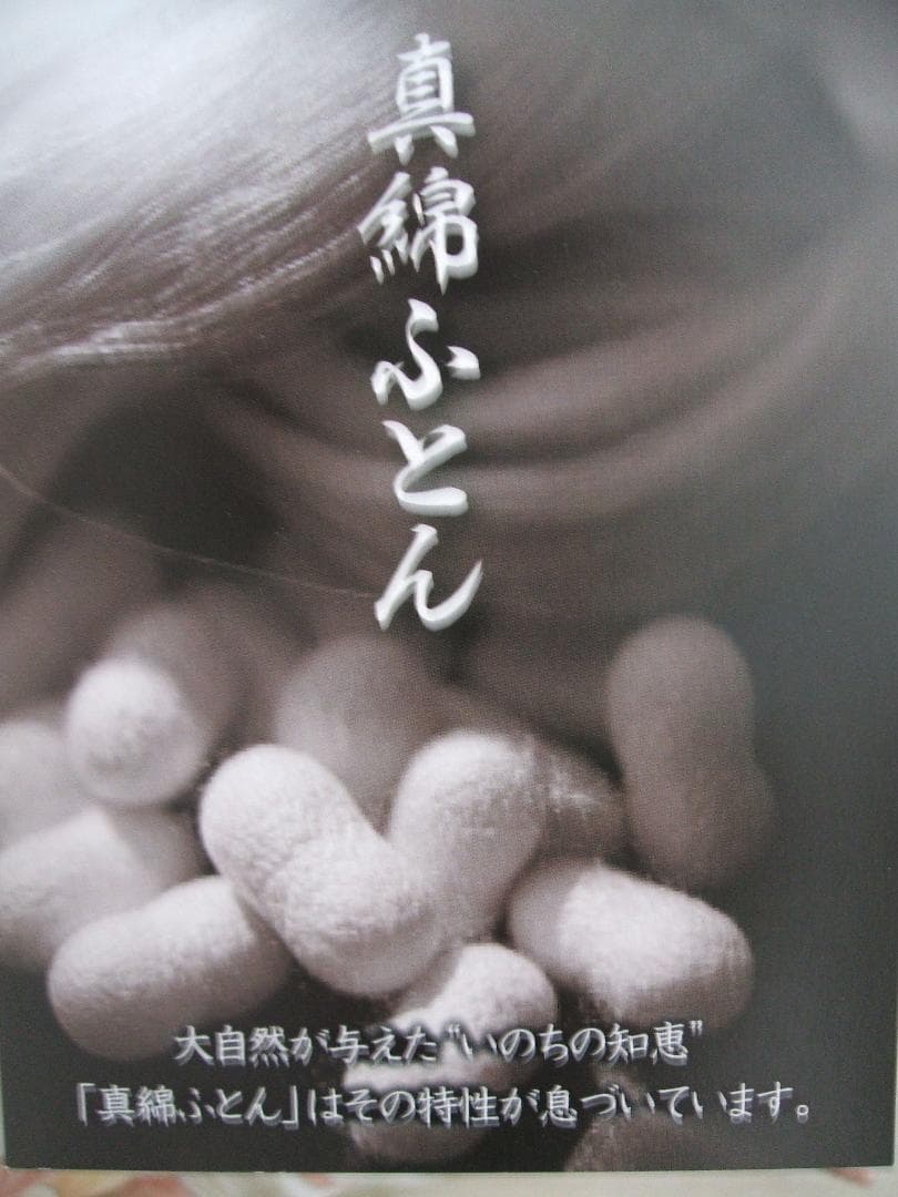 ２点お買い得＊新品＊日本製＊手引き真綿（絹・シルク）真綿肌掛布団（２点）