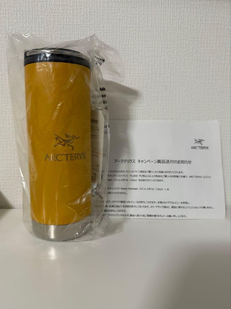 ARC'TERYX Klean Kanteenステンレスボトル