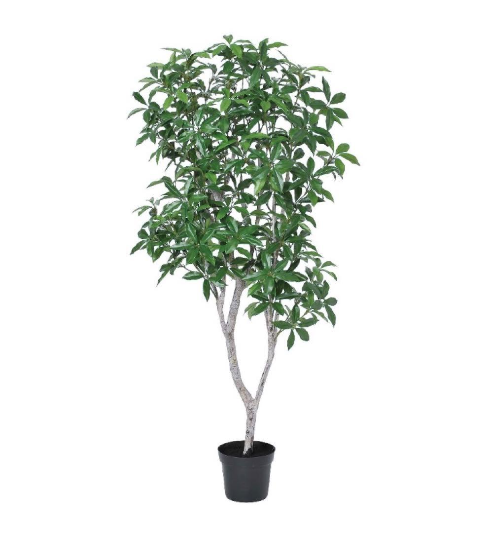 光触媒　人工観葉植物　ウォールグリーン　フェイクグリーン　ローレルツリー158