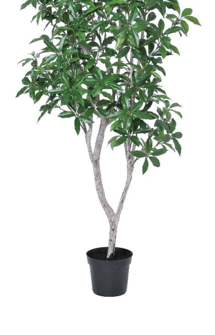 光触媒　人工観葉植物　ウォールグリーン　フェイクグリーン　ローレルツリー158