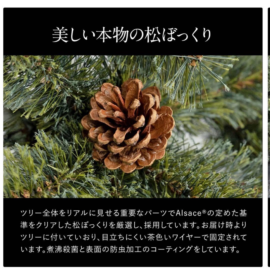 Alsace クリスマスツリー 180cm アルザス 2025