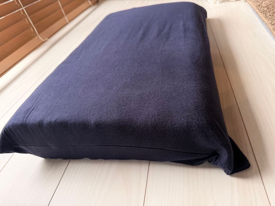 【早い者勝ち】ブレインスリープピロー　スタンダードサイズ　カバー付60x35cm