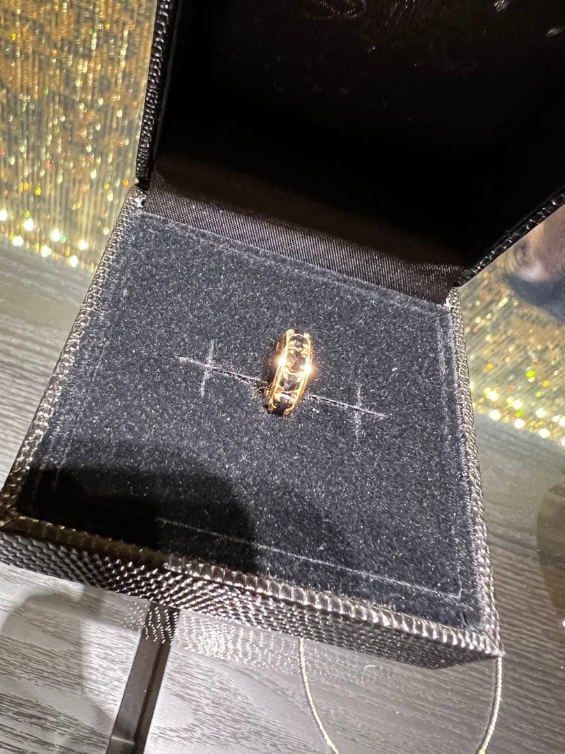 SJX 18K ブラックダイヤ ピアス 片耳 希少モデル 箱・証明書付き