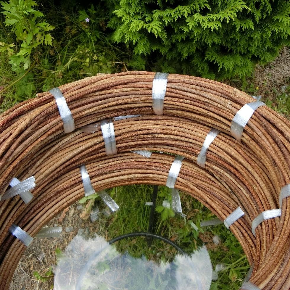 なつ（╹◡╹）♡ 青森県岩木山採取　あけび蔓　150cm～　3kg　太い蔓