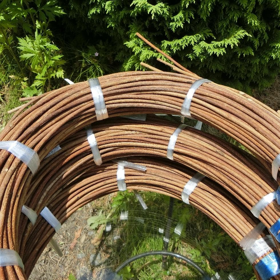 なつ（╹◡╹）♡ 青森県岩木山採取　あけび蔓　150cm～　3kg　太い蔓