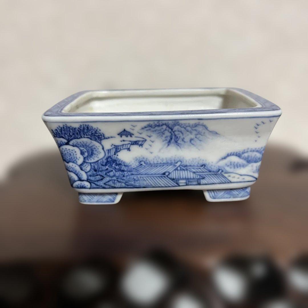 盆栽鉢　　月香
