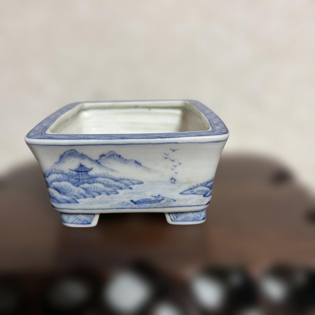 盆栽鉢　　月香