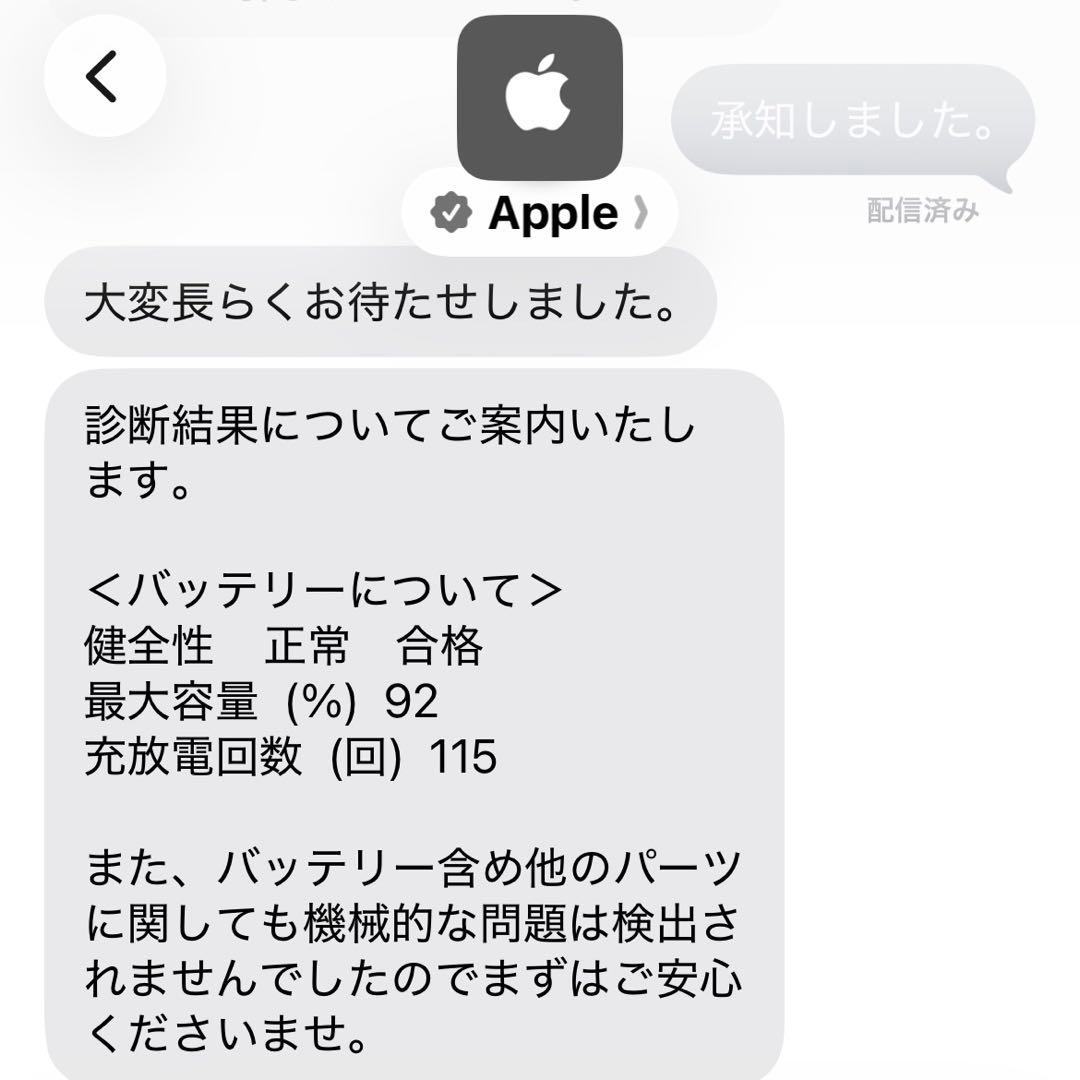 iPad mini (第6世代) 256GB Wi-Fi パープル