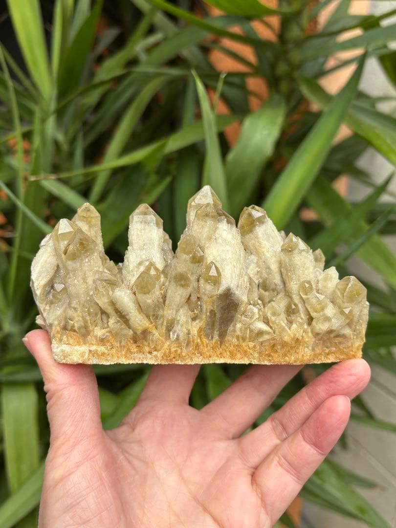 天然シトリン　キャンドルクォーツ　クラスター　618g かわいい　自立します