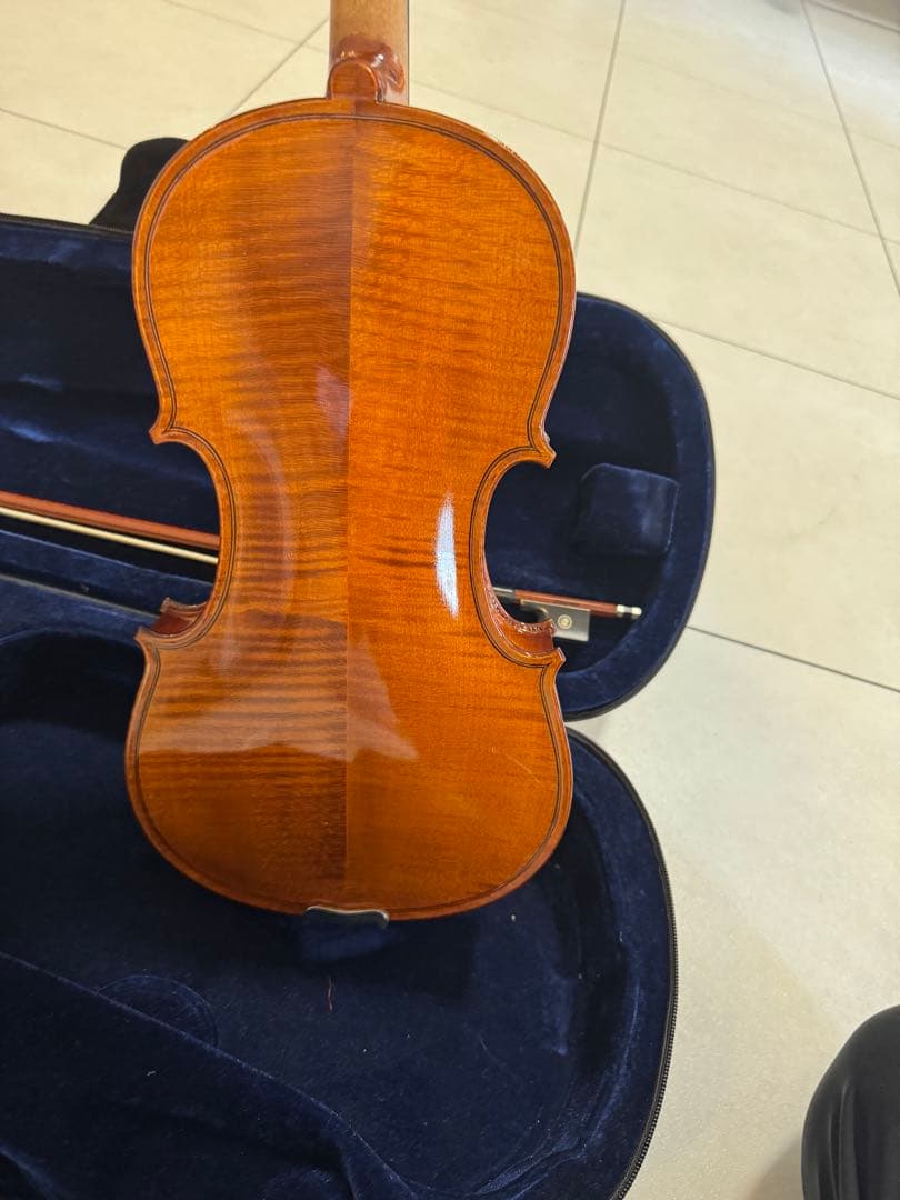 Gliga Gliga Gems Violin SET バイオリン本体とその他