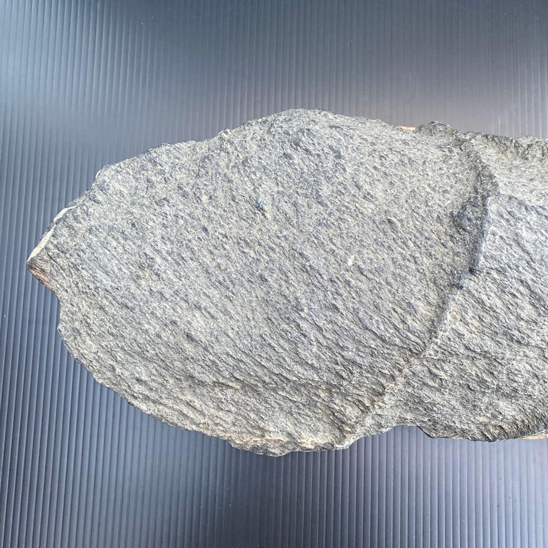【日本三大銘石佐治石】 古代石 採石禁止石 鯨形 珍品