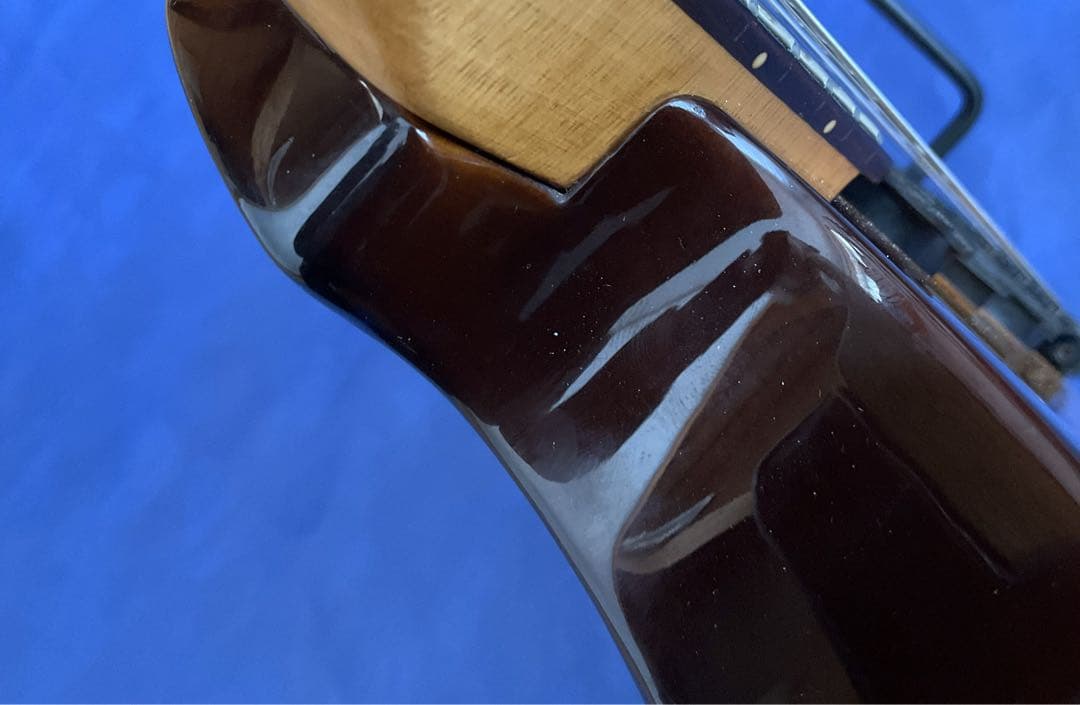 【玄人向け】Fernandes FR ブラウンバースト【特殊トレモロ】