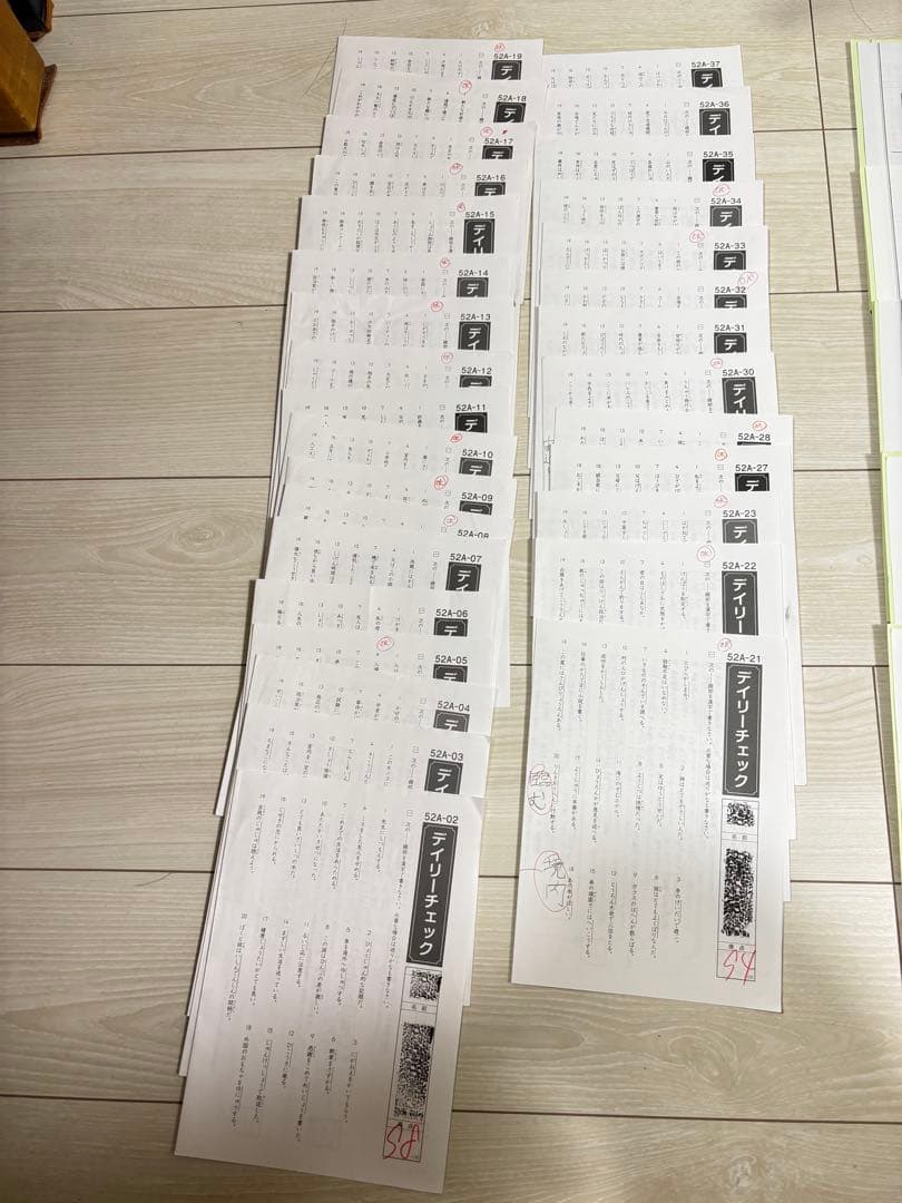 Sapix 五年　国語　フルセット