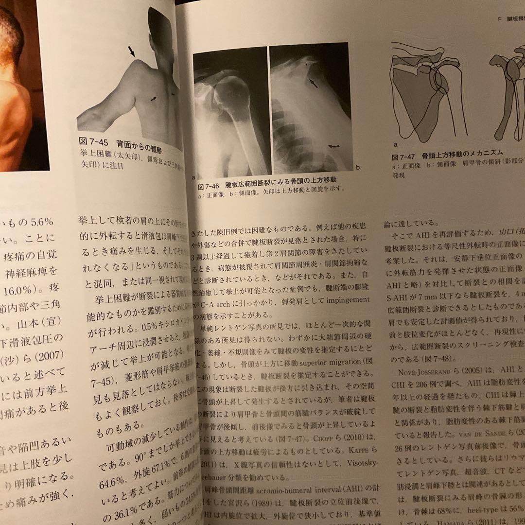 肩 : その機能と臨床