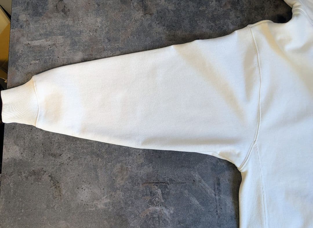 SAPEur デニスロッドマン パーカー 蛇 白 L 限定デザイン