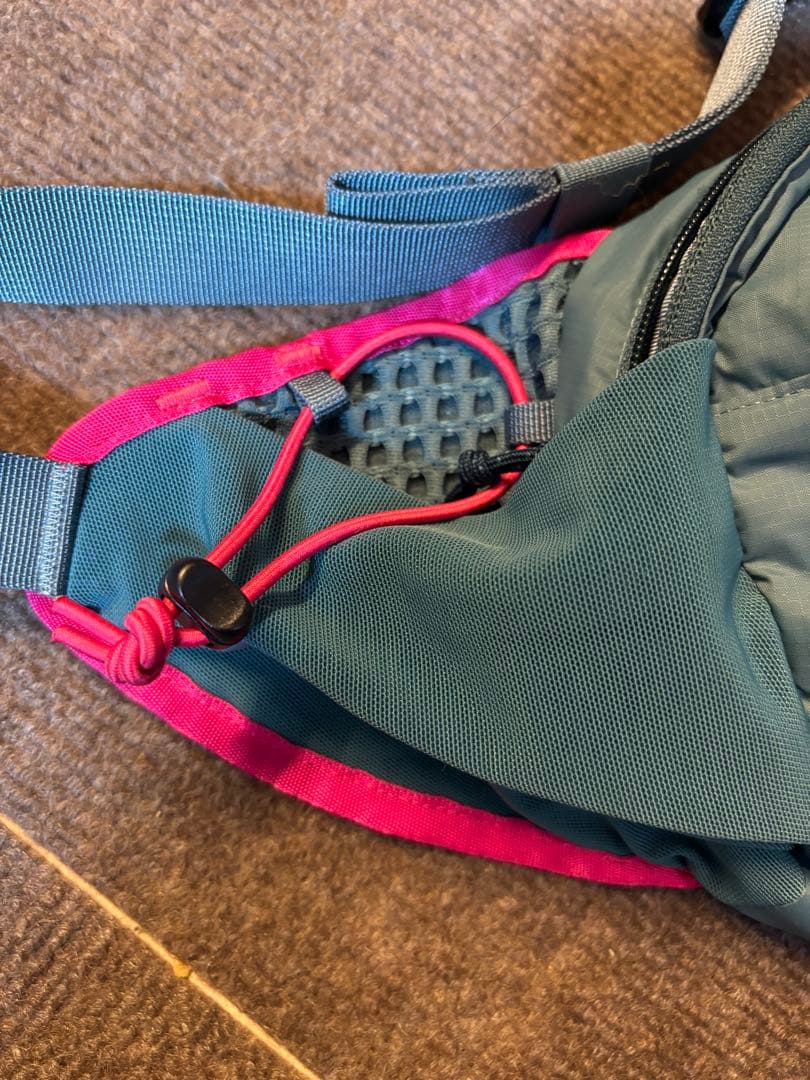 Patagonia テラヴィア・ヒップ・パック 4L