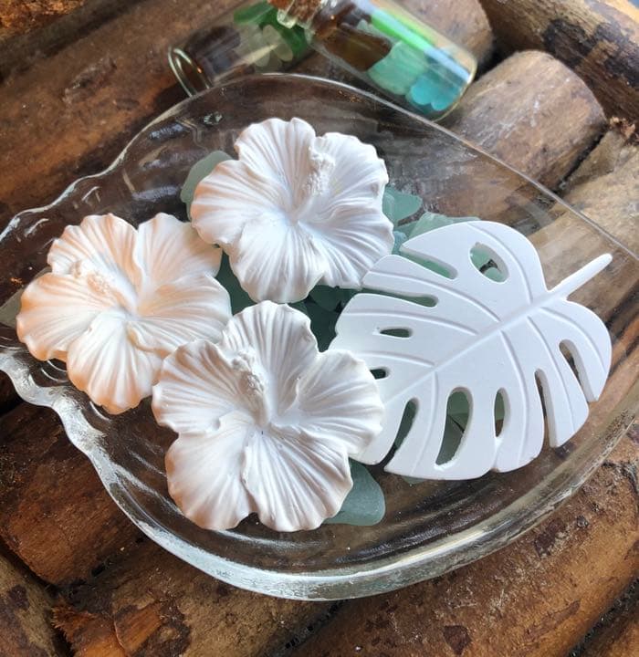 真っ白なハイビスカス＆モンステラ