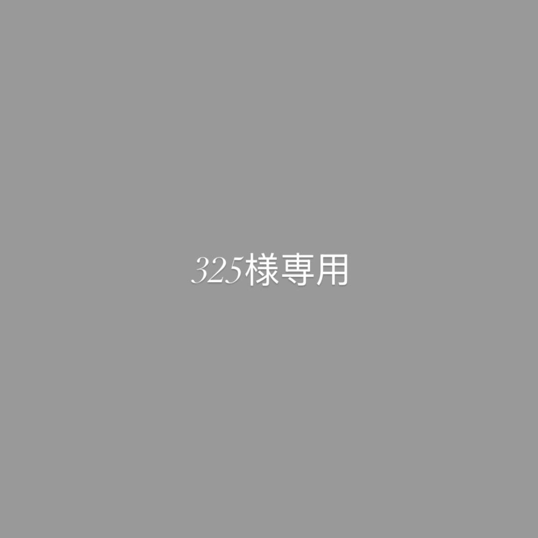 バッグ 325