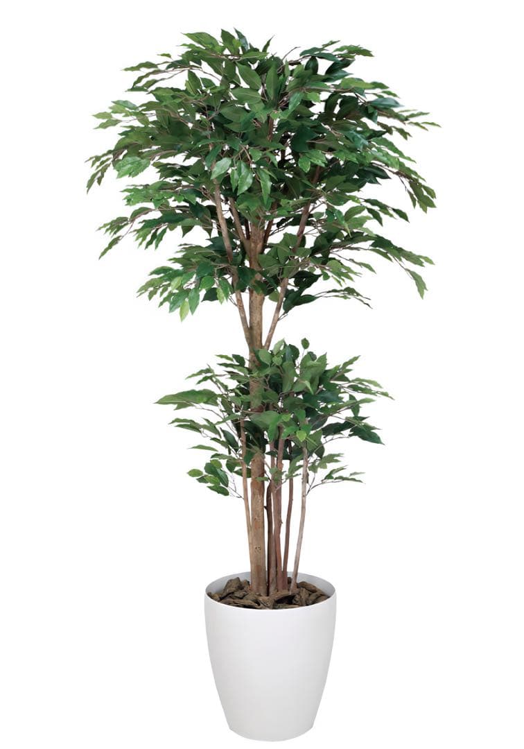 光触媒　人工観葉植物　フェイクグリーン　トロピカルベンジャミン 1.8m