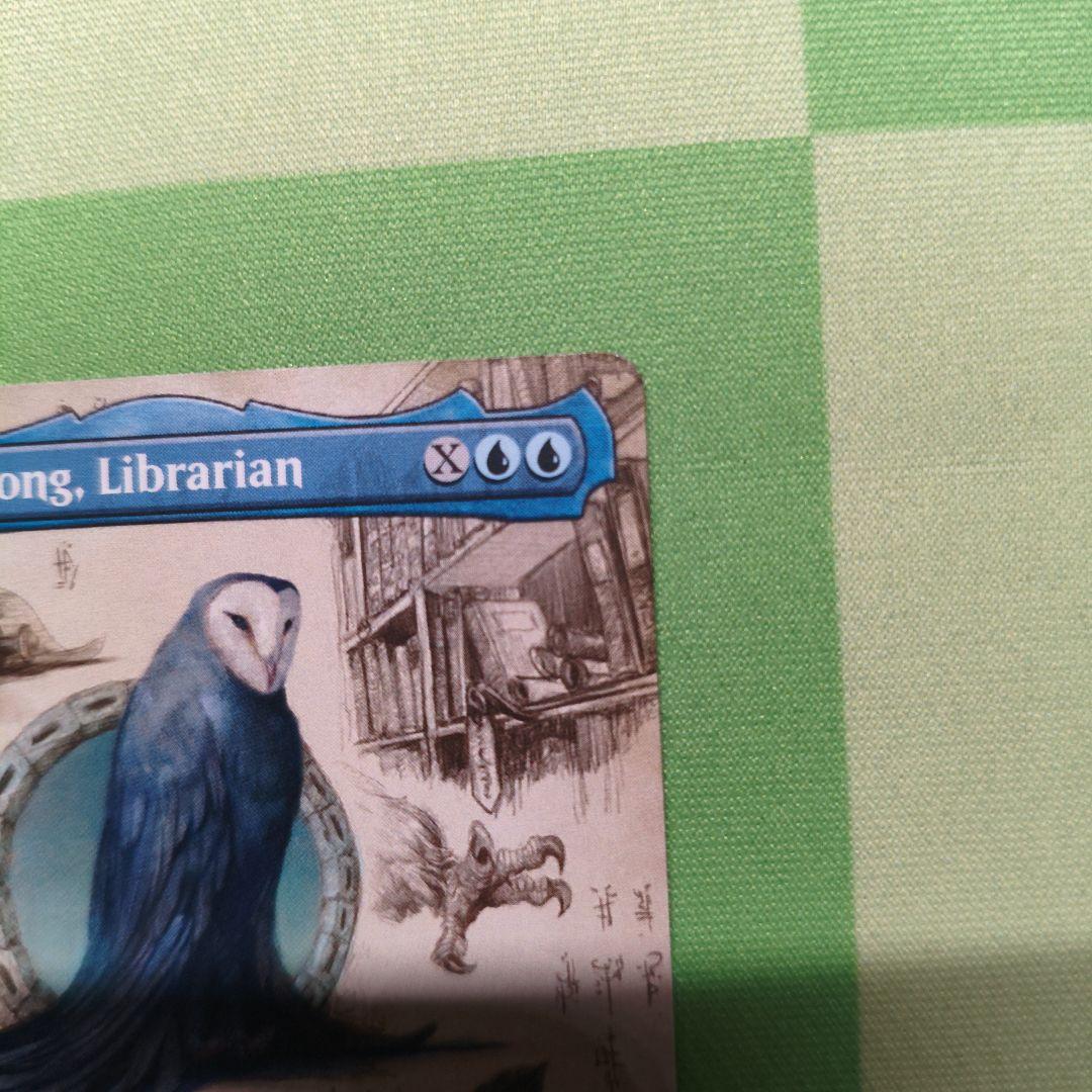 司書、ワン・シー・トン Wan Shi Tong, Librarian