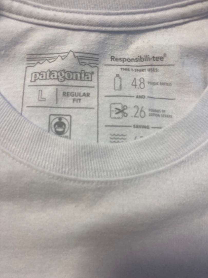 入手困難【Patagonia】Fish Native World Trout T