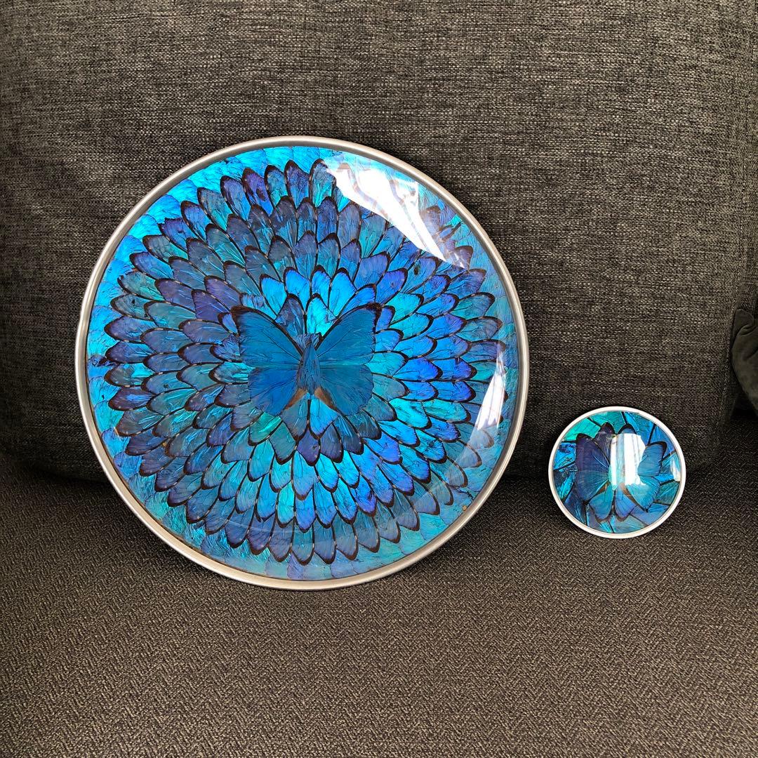 モルフォ蝶　飾り皿　標本　壁飾り　壁掛け