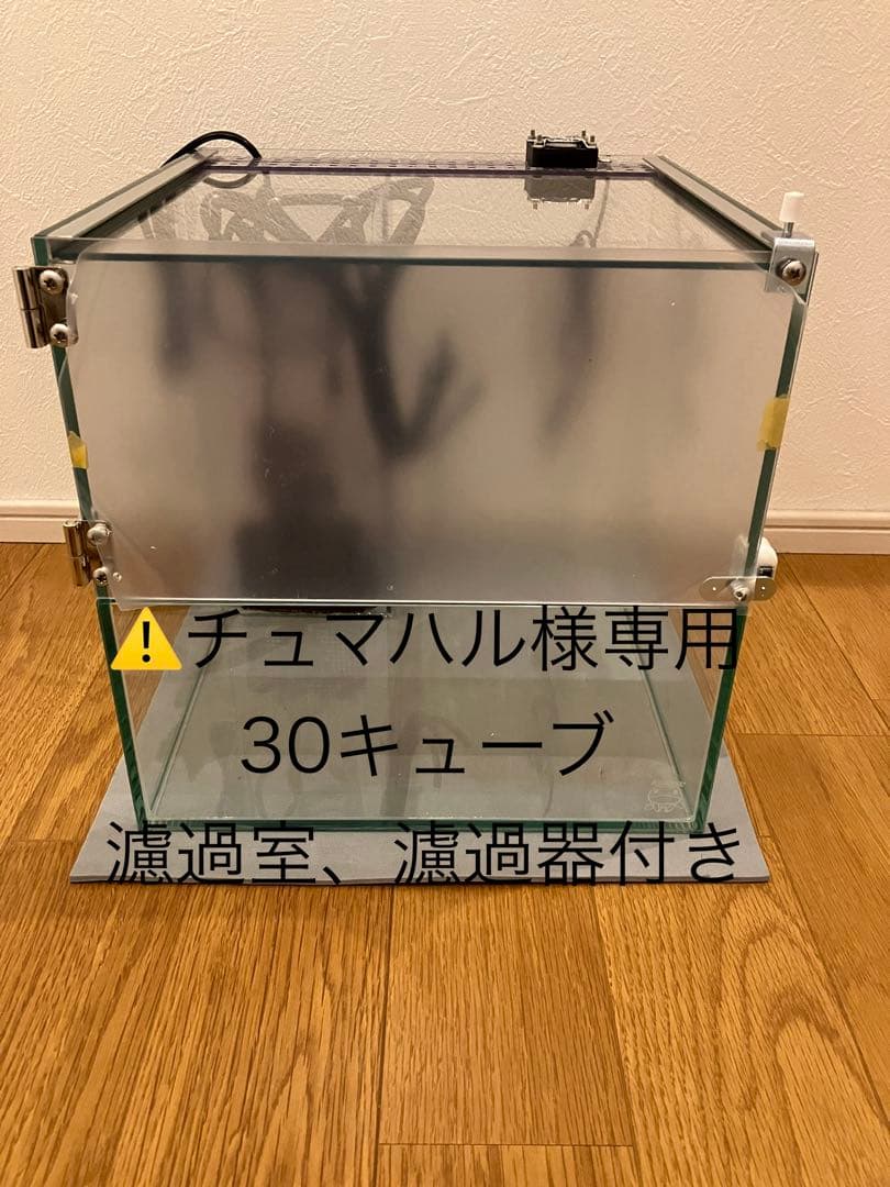 Kazumi 30キューブ ガラス水槽 濾過装置付き