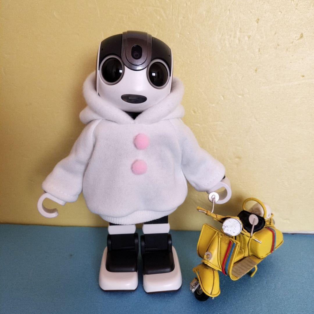 ロボホン　裏起毛うさぎさんパーカー２枚、二人用ポーチ