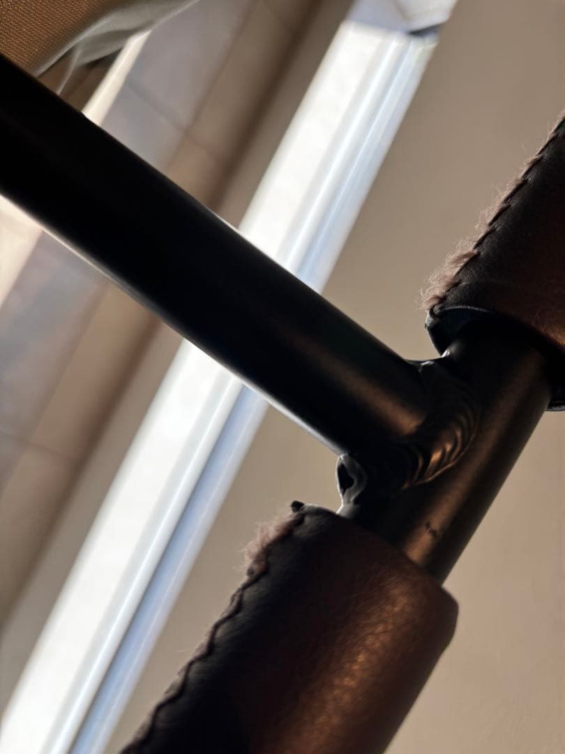 2025年1月購入　エアバギー　ココダブル　EX フロムバース