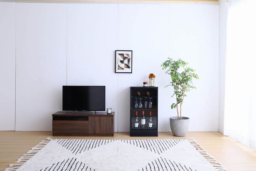 《新品・送料無料》【幅46cm×奥行18cm】Legen コレクションケース
