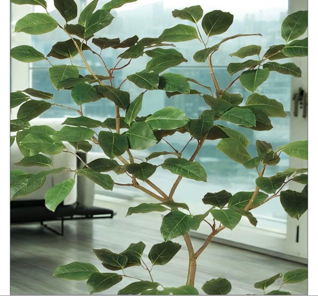 光触媒　人工観葉植物　ウォールグリーン　フェイクグリーン　ベンガルボダイジュFS
